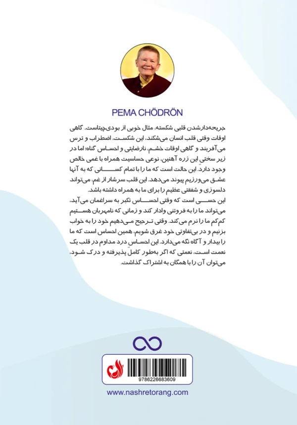 پشت جلد با توضیح کوتاهی درباره کتاب