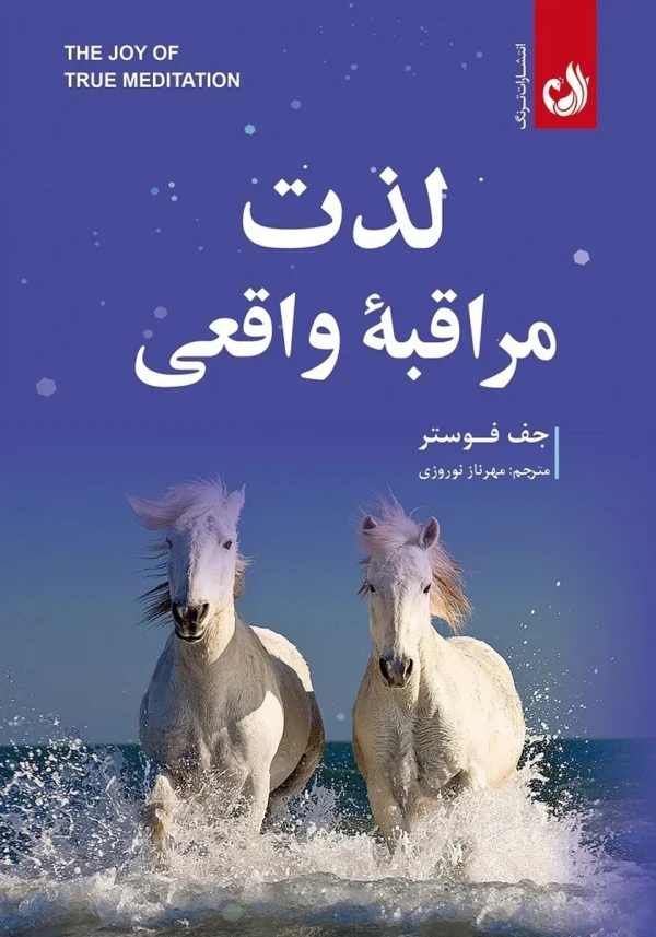 لذت مراقبه واقعی 1 کتاب لذت مراقبه واقعی اثر جف فوستر با ترجمه مهرناز نوروزی